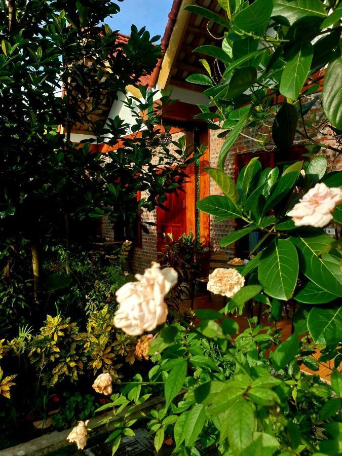 Tamcoc Mr. Cau Homestay Нин Бин Екстериор снимка