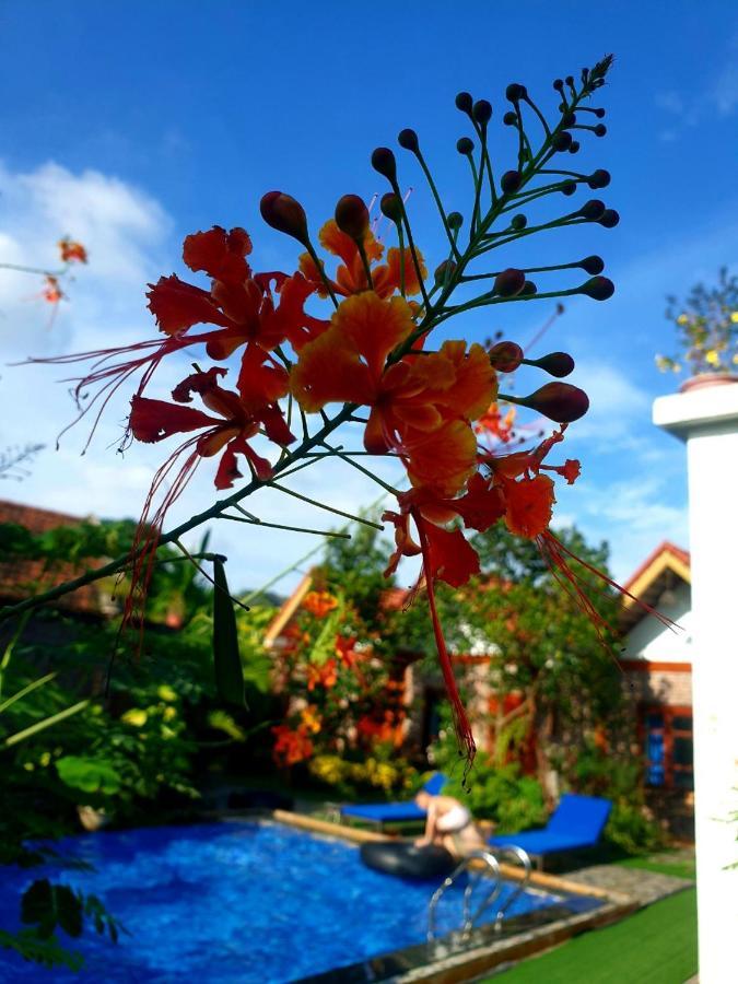 Tamcoc Mr. Cau Homestay Нин Бин Екстериор снимка